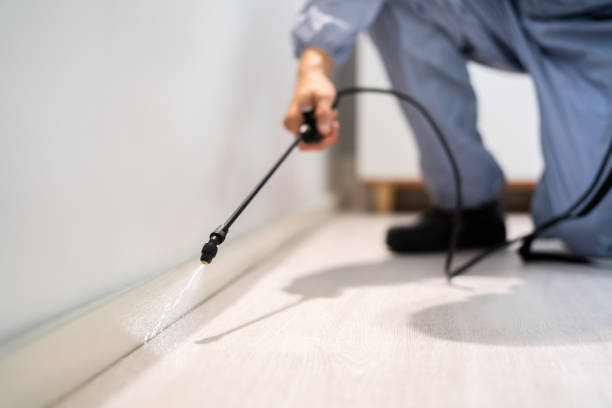 Licensed Fumigation Services service in Rio del Mar, CA - Nex Pest Control