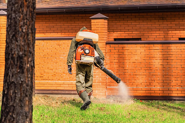 Trusted Termite Control service in Rio del Mar, CA - Nex Pest Control